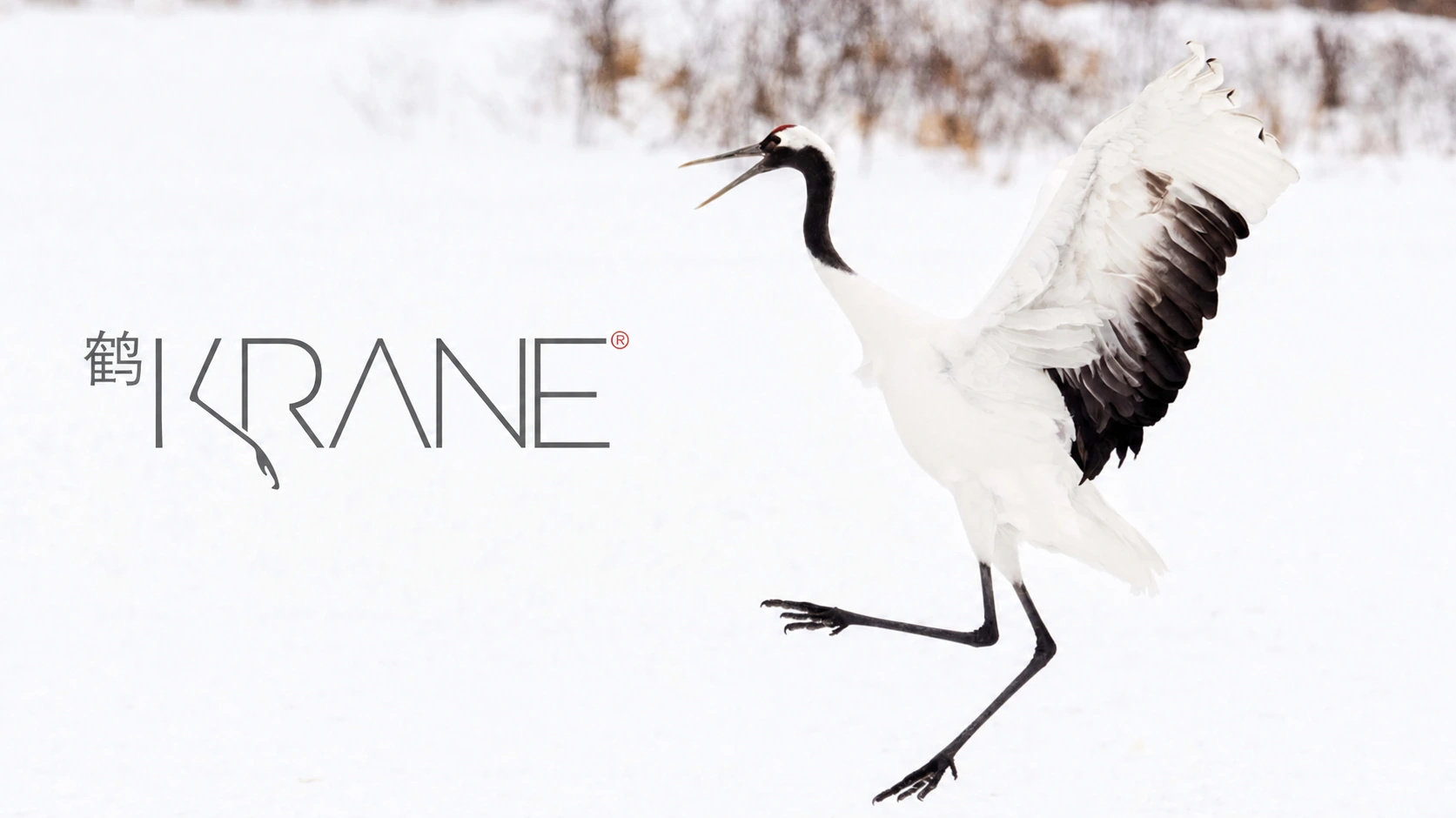 Krane restaurant identity