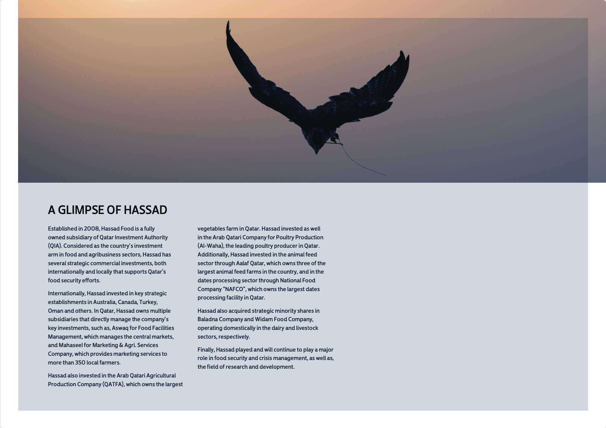 The Book of Achievements — editorial design