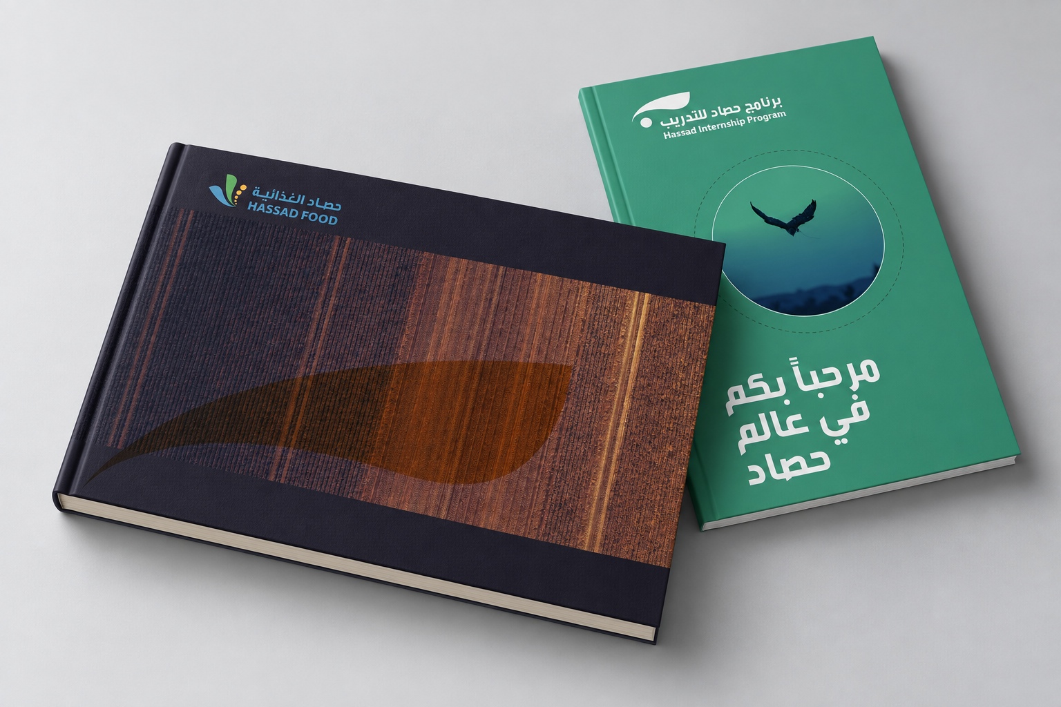 Hassad Food brand identity